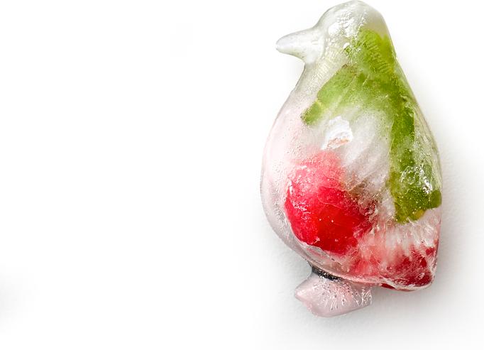 Image du produit Lékué Ice Cubes