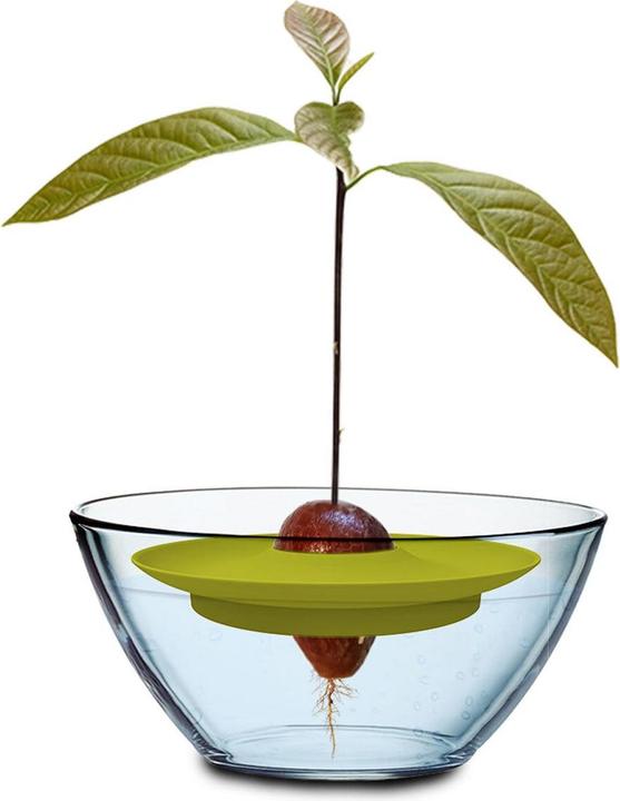 Produktbild Romberg Avocado Kit