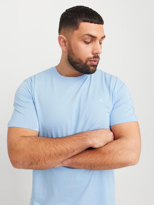 Actual product image Jack & Jones Jjepaulos Tee Ss Crew Neck Noos Pls (3XL)