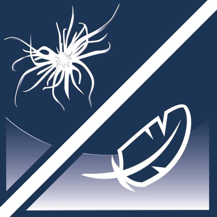 Immagine prodotto Billerbeck Climacontrol (65 x 100 cm)