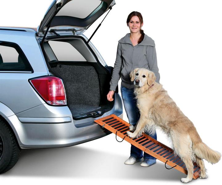 Produktbild Karlie Autohunderampe (Hund, Faltbar)