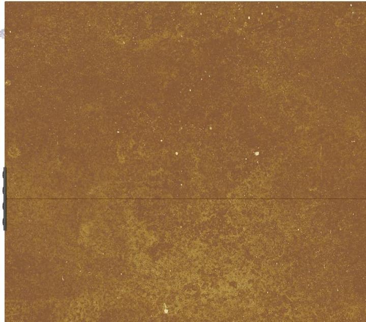 Produktbild vidaXL Gartentor