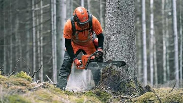 Image du produit Husqvarna 572 XP (Scie à chaîne à essence)