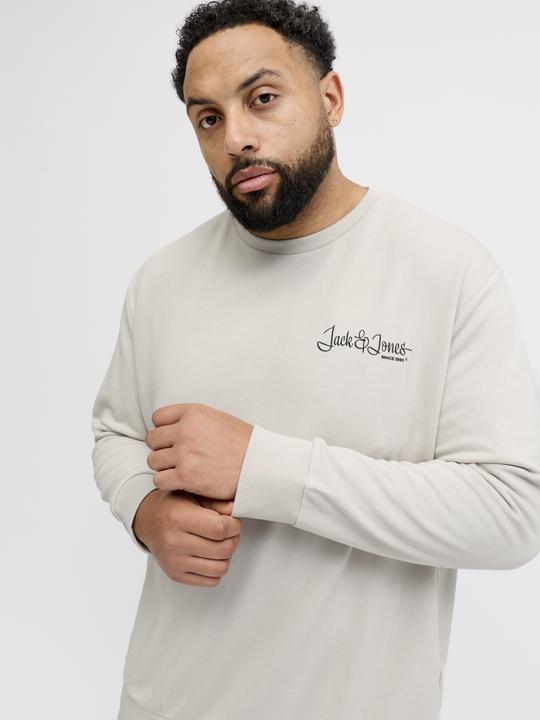 Produktbild Jack & Jones Plus Size Gedruckt Sweatshirt Sweatshirt
