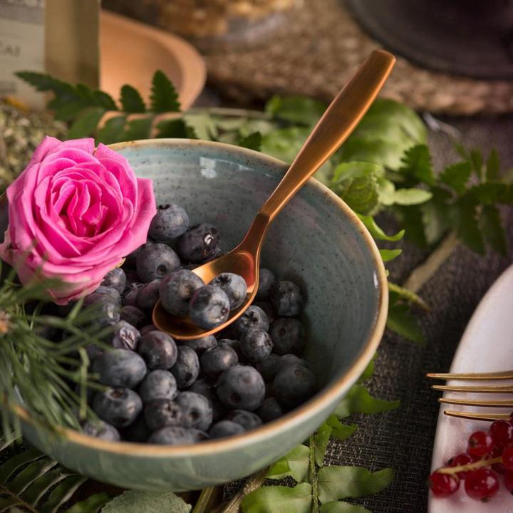 Image du produit Lunasol Gaya (15.50 cm, 1 x)