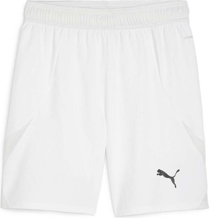 Puma teamFINAL Shorts