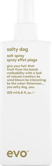 Evo Salty Dog Salt Spray (200 ml)