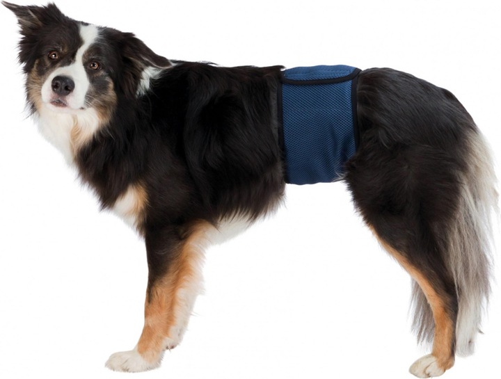 Produktbild Trixie Rüdenbinde M 45-55cm (M, Hundeweste)
