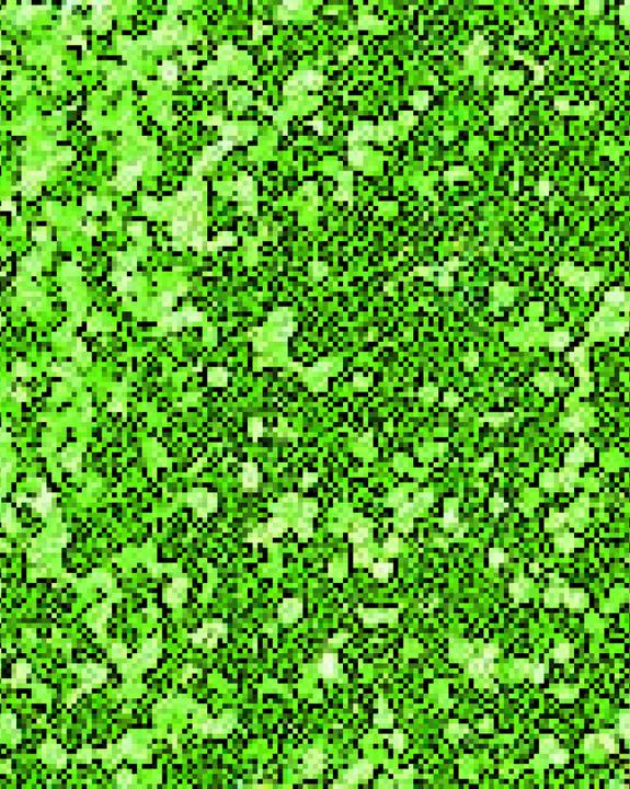 Actual product image hobbytime Decorative effect tinsel