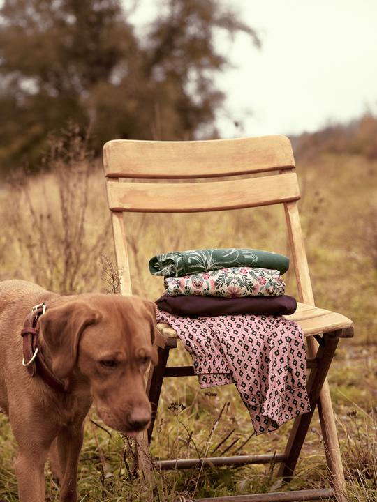 Image du produit Calida Favourites Hose (L)