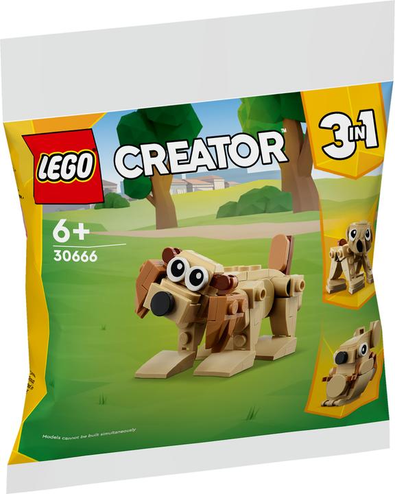 Actual product image LEGO 30666 Gift set with animals (30666, LEGO Creator 3-in-1)