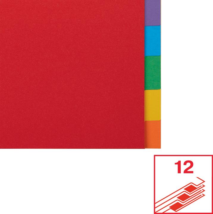 Immagine prodotto Esselte Intercalare in cartoncino A4