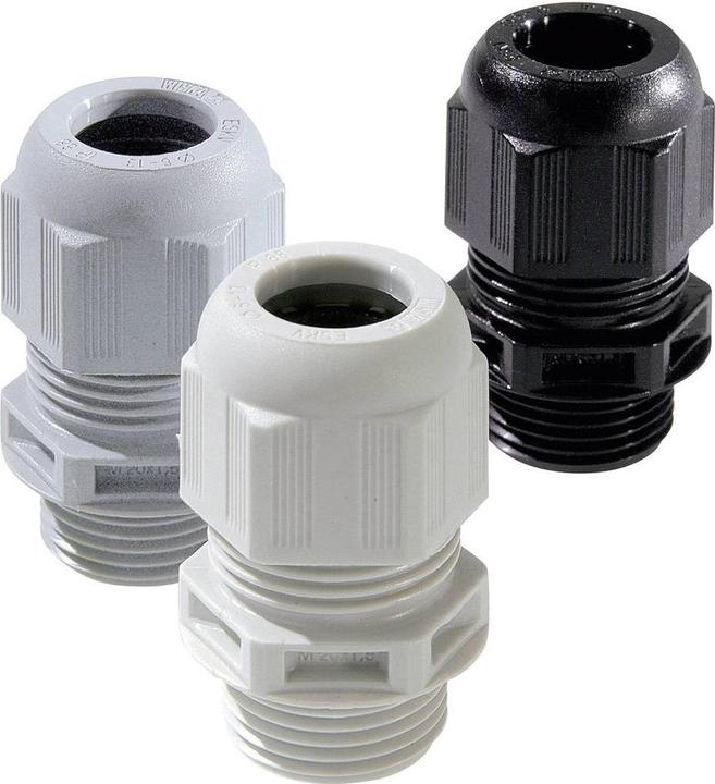 Productafbeelding Wiska 10066500 Wartel M12 polyamide zwart (RAL 9005) 50 st.