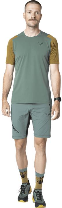 Actual product image Dynafit Transalper Light Dynastretch Shorts Herren (L)