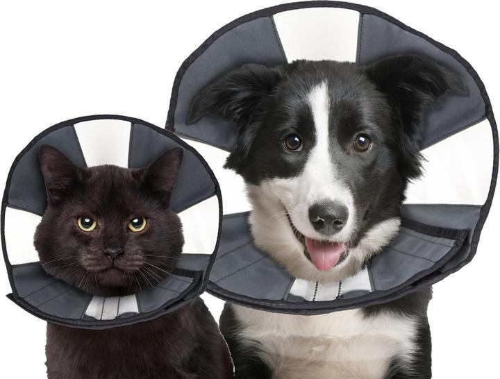 Produktbild ZenPet Procone L (Katze, Hund)