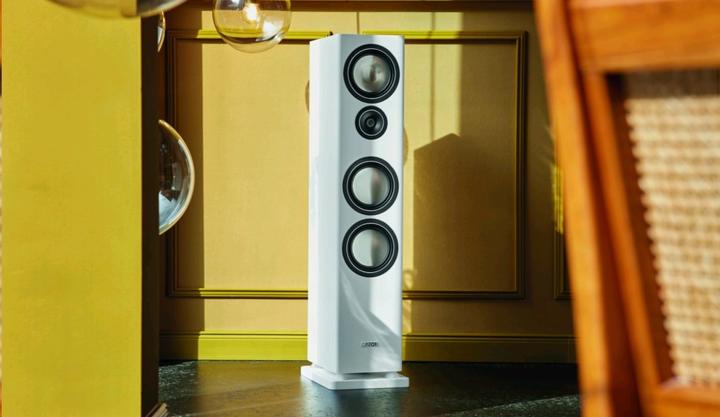 Actual product image Canton Townus 90 (1 pair)