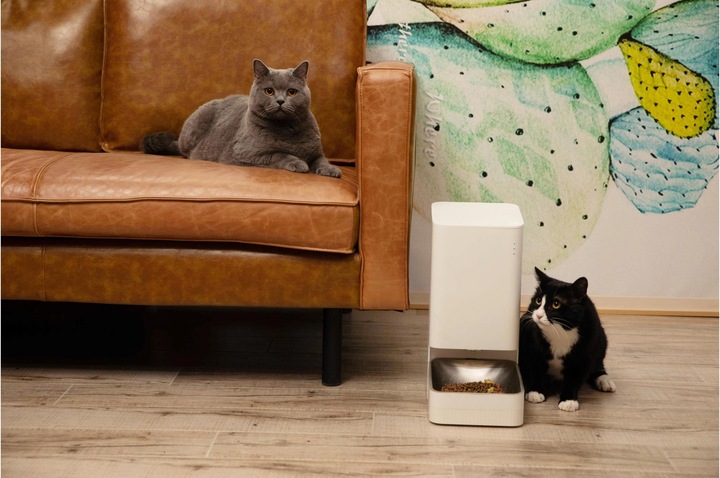 Actual product image Xiaomi Smart Pet Food Feeder (3.60 l)