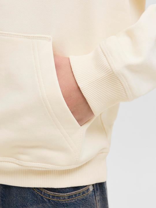 Produktbild Jack & Jones Jornorrebro Typo Back Sweat Hood Sn Jnr (164)