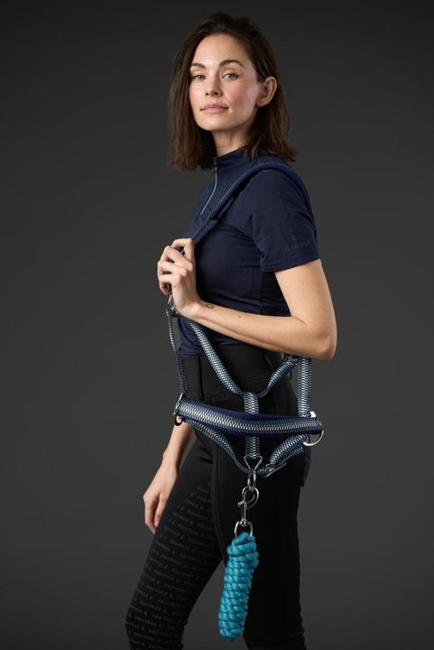 Image du produit Horse Guard Cole