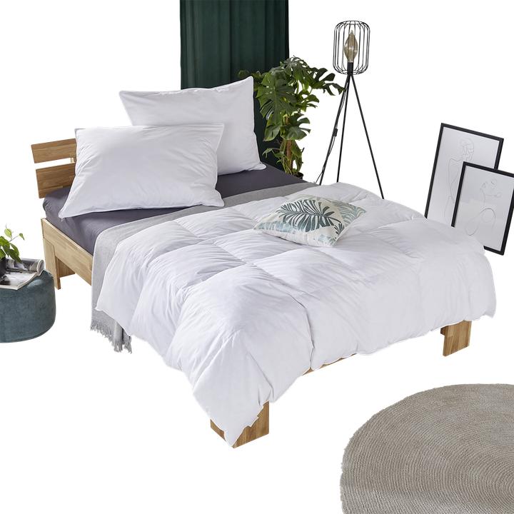 Immagine prodotto Lipo Basic (1700 g, 160 x 210 cm, Piuma)