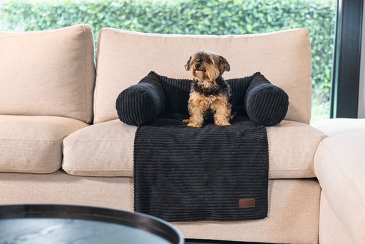 Productafbeelding Designed by Lotte Geribbeld (Hond)