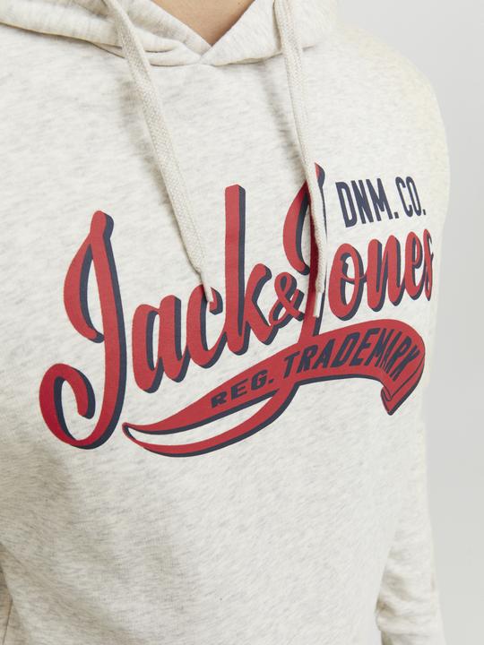 Image du produit Jack & Jones Logo Hoodie (M)