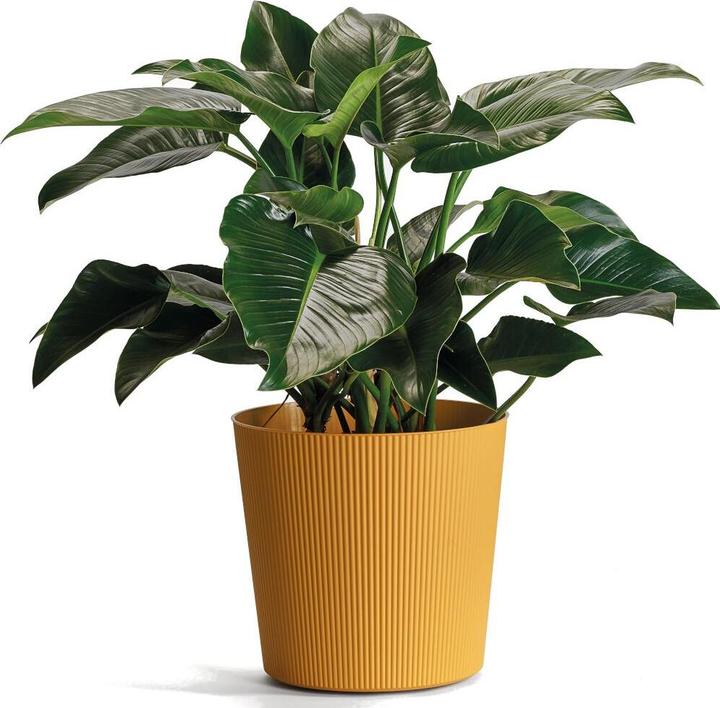 Produktbild Euro3plast Blumentopf Fyre Ø 30 cm mango Greener, mit Rollen
