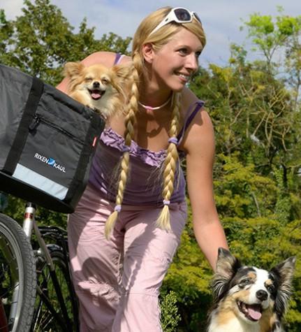 Actual product image KlickFix Doggy handlebar basket (24 l)