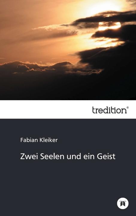 Produktbild Zwei Seelen und ein Geist (Deutsch, Fabian Kleiker, 2013)