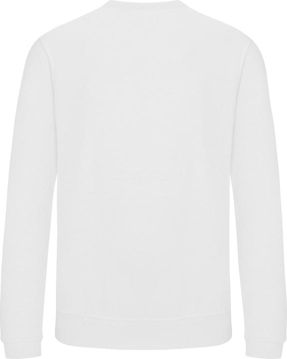Arktisch Weiss
