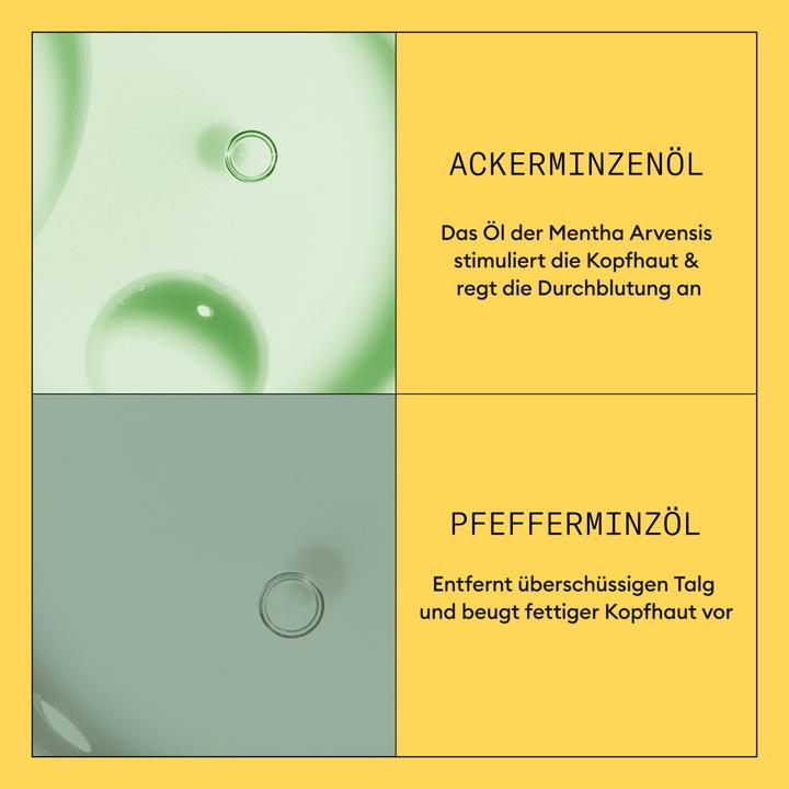 Actual product image Nioxin Scalp + Hair System (300 ml)