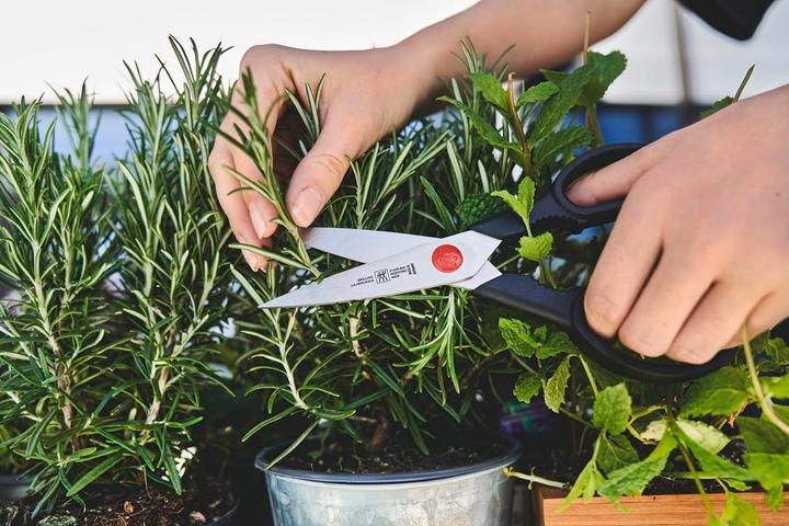 Produktbild Zwilling Gourmet Messerblock natur 7-teilig