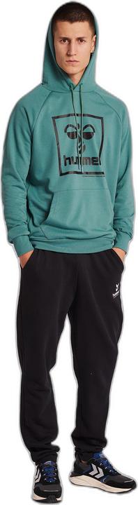 Actual product image hummel ISAM 2.0 HOODIE (M)