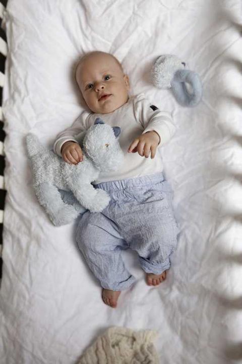 Actual product image Teddykompaniet Plush dino blue 30 cm