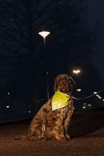 Produktbild Beeztees Safety Gear Bandana Chiny (S, Hundehalstuch)