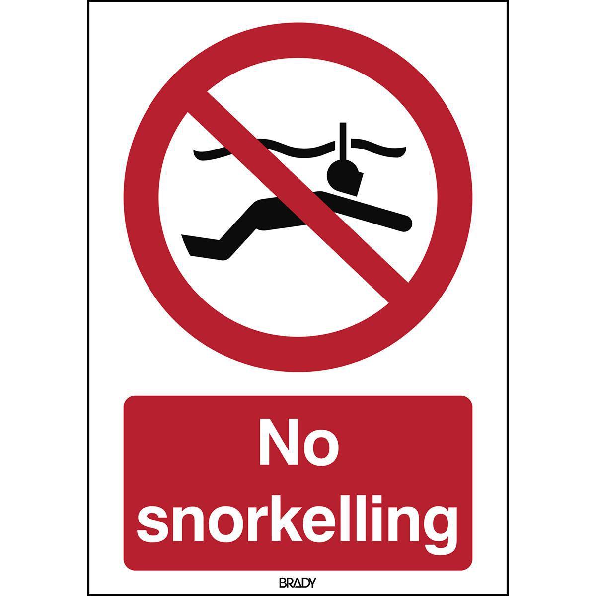 Brady, Sicherheitskennzeichnung, ISO Safety Sign - No