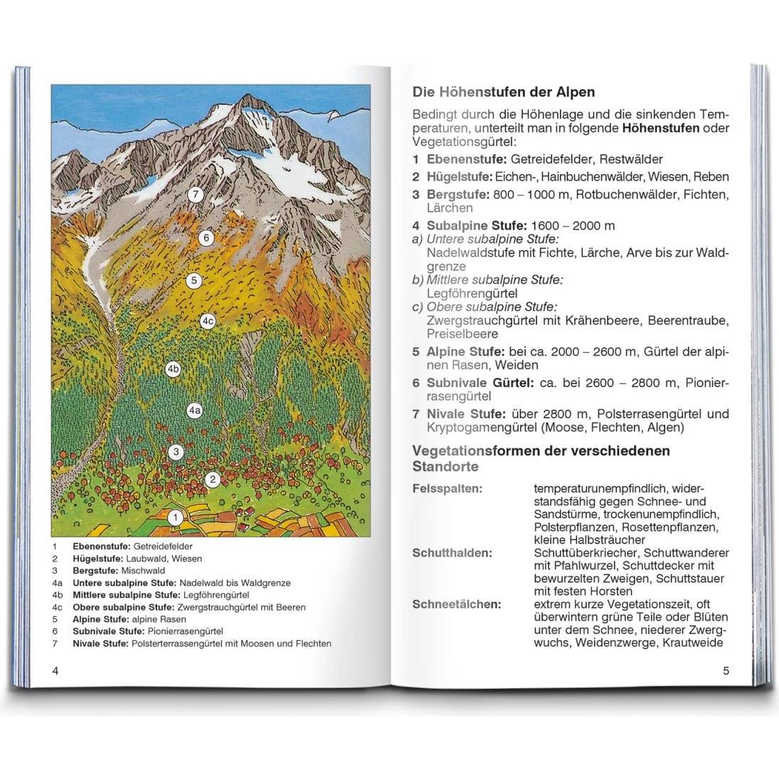 Thumbnail - Alpenblumen, Ratgeber