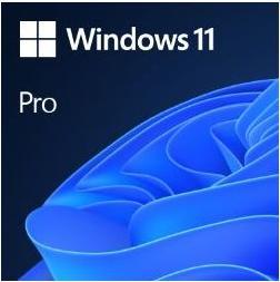Image du produit Microsoft Windows 11 Pro (FR) (1 Utilisateur, Illimité)