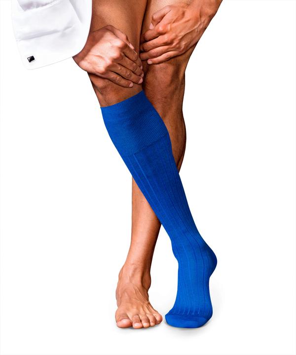 Produktbild Falke No. 2 KH (45 - 46)