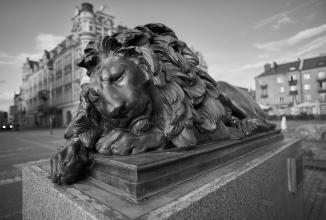 Produktbild Voigtländer Nokton 21 mm / 1.4 asph. (Sony E, Vollformat)