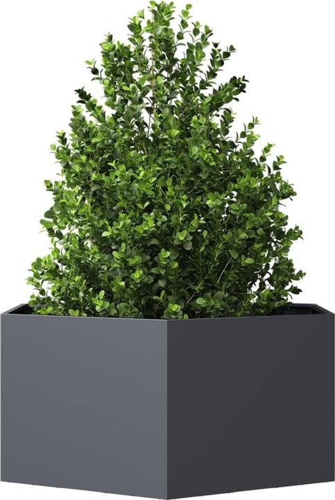 Produktbild vidaXL Pflanzkübel