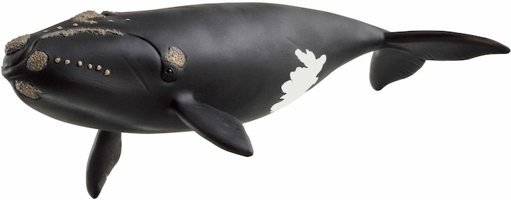 Image du produit Schleich Nordatlantischer Glattwal