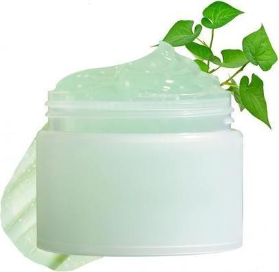 Ongredients Fresh Soothing Cream Daily Moisturizing Cream with Niacinamide (Tagescreme)