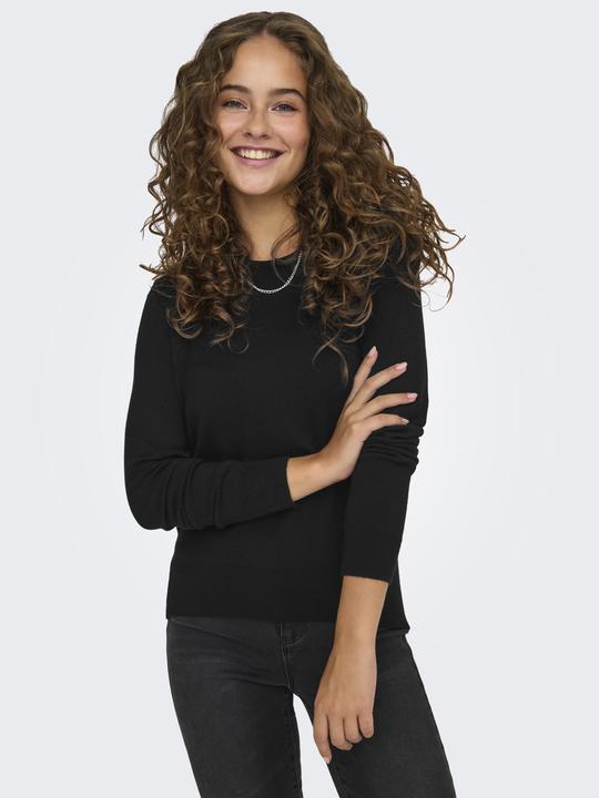 Actual product image Only Regular fit Round neck Ribbed cuffs Pullover Knitted jumper (L)