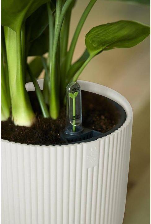 Image du produit Elho Vibes Fold (25 cm)