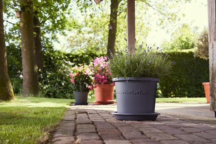 Produktbild Elho Algarve Cilindro (24.50 cm)