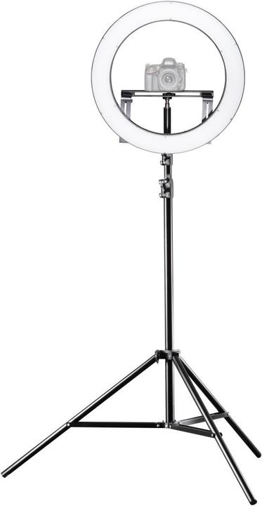 Immagine prodotto Walimex RLL-500BV (Anello di luce)