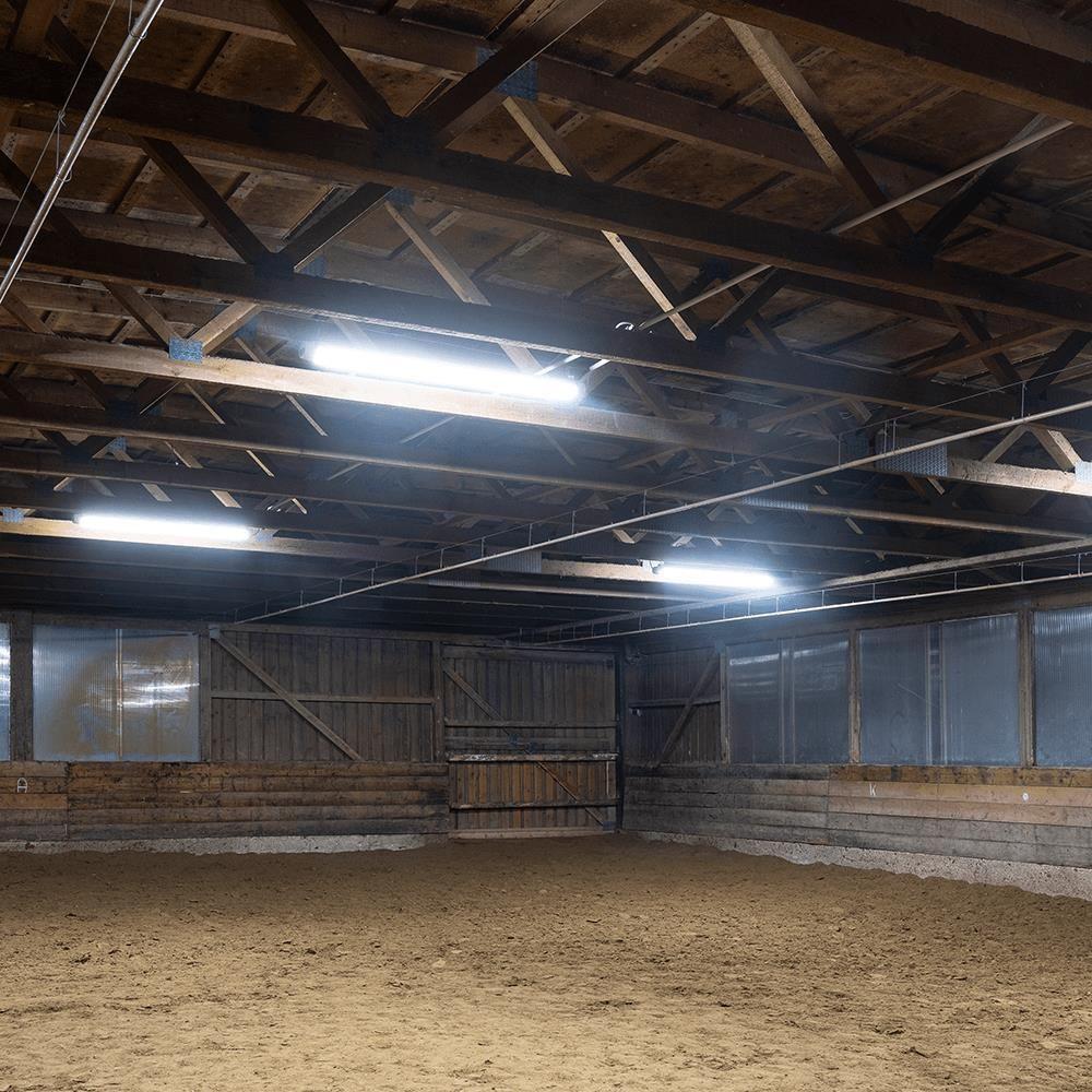 Thumbnail - Dotlux, Wandleuchte + Deckenleuchte, DOTL LED-Feuchtraumleuchte