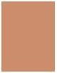 Immagine prodotto Clinique True Bronze (03 Spazzolato dal sole, Bronzer, 9.35 g)