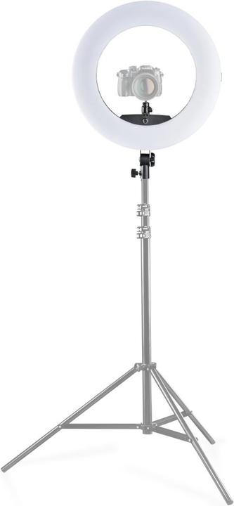 Immagine prodotto Walimex pro Pro LED ad anello Medow 960 Pro Bi Color (Anello di luce)